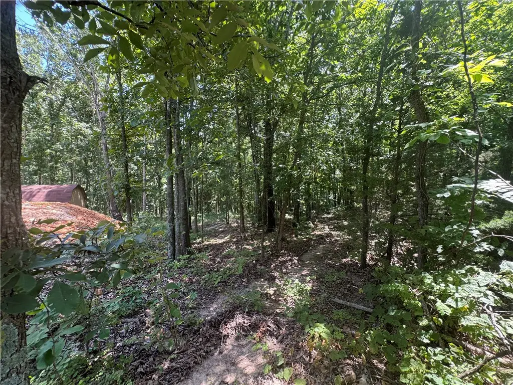 Lot 59 Posy Mountain Drive, Garfield, AR 72732 - #1