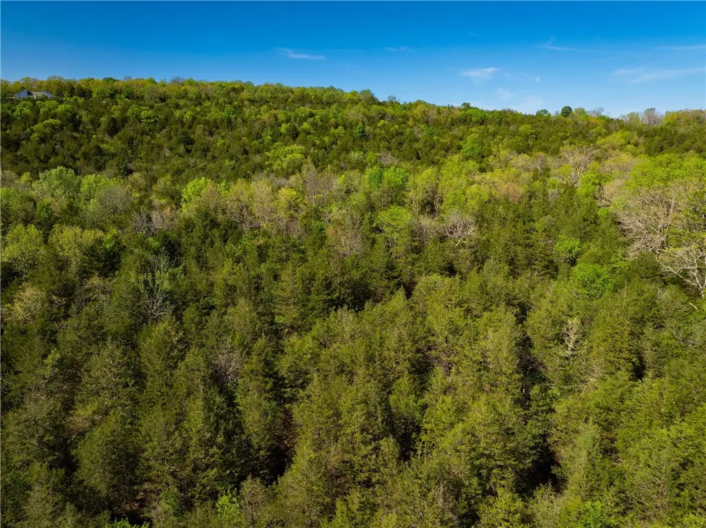 401 Cr 246, Berryville, AR 72616 - #1
