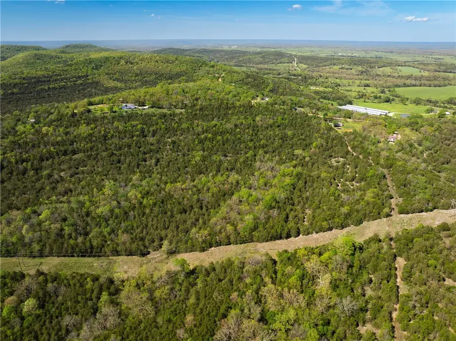 401 Cr 246, Berryville, AR 72616 - #2