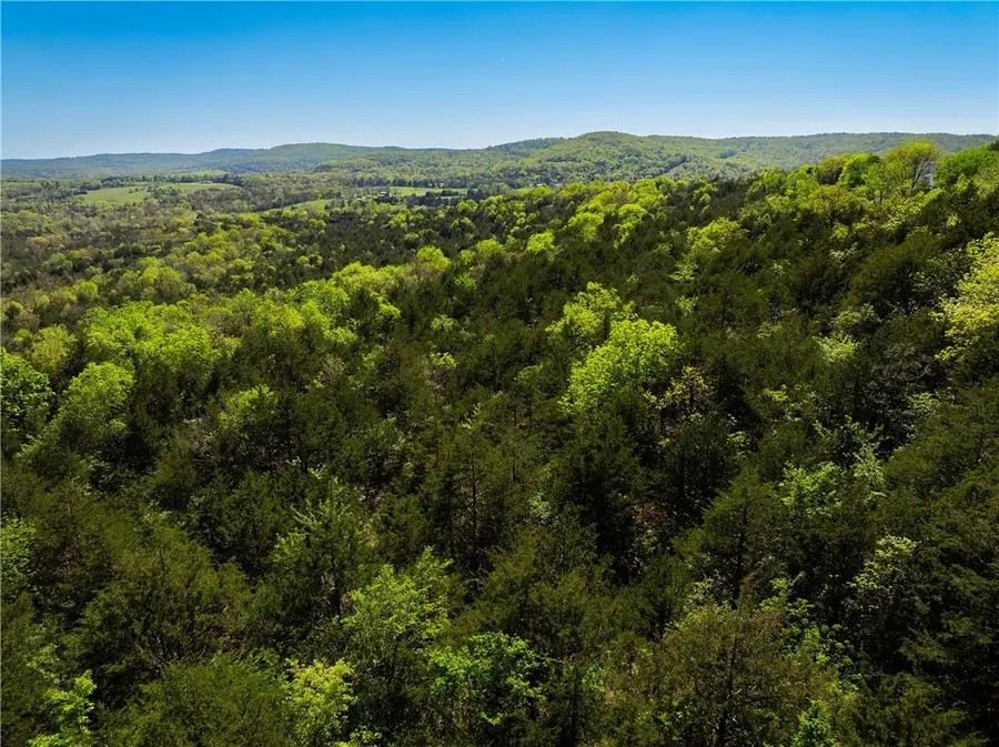 401 Cr 246, Berryville, AR 72616 - #3