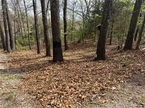 Lot 11 and 12 Entry Road, Ridgedale, MO 65739 - #1