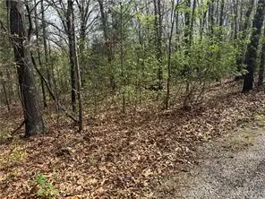 Lot 11 and 12 Entry Road, Ridgedale, MO 65739 - #3