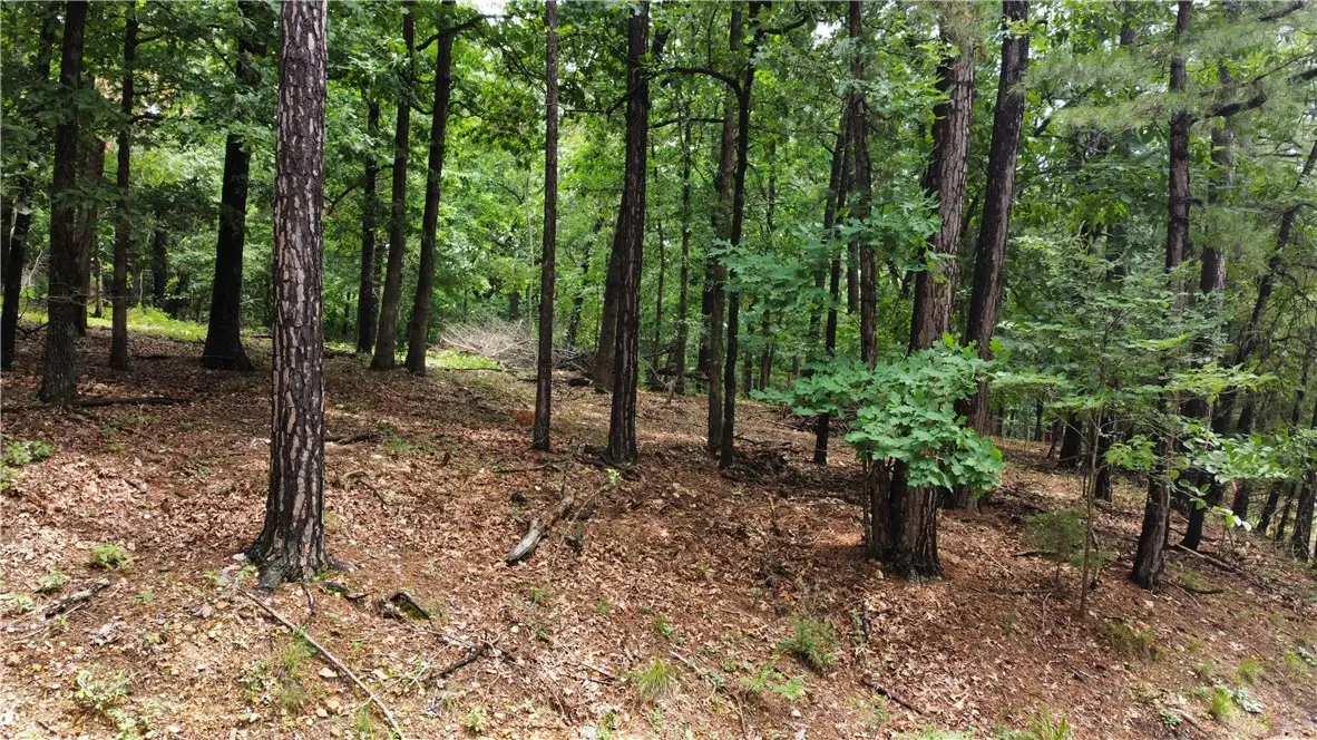 3 Stonehedge Lane, Bella Vista, AR 72714 - #1