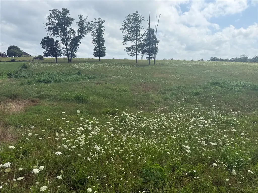 TBD Tract 2 Peterson Road, Gentry, AR 72734 - #1