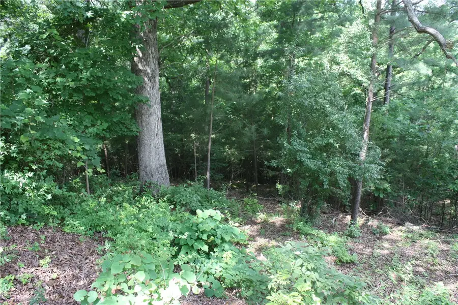 5, 6 & 7 Westmoreland Drive, Bull Shoals, AR 72619 - #2