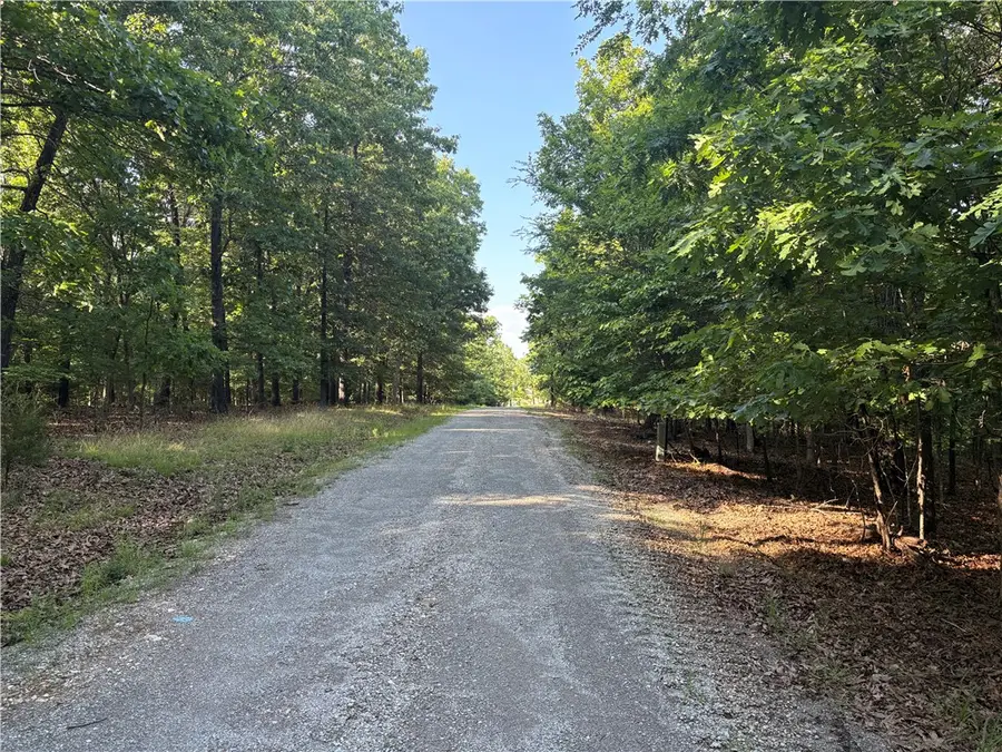 563-00109-000 Sunrise Ridge Drive, Yellville, AR 72687 - #2