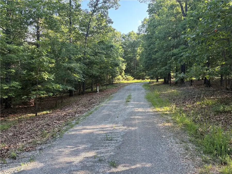563-00109-000 Sunrise Ridge Drive, Yellville, AR 72687 - #3