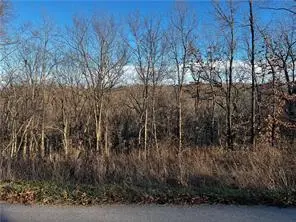 Selkirk Drive, Bella Vista, AR 72715 - #3
