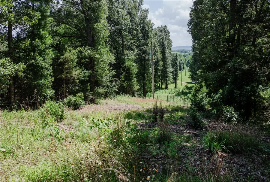 238 County Road 729, Berryville, AR 72616 - #2
