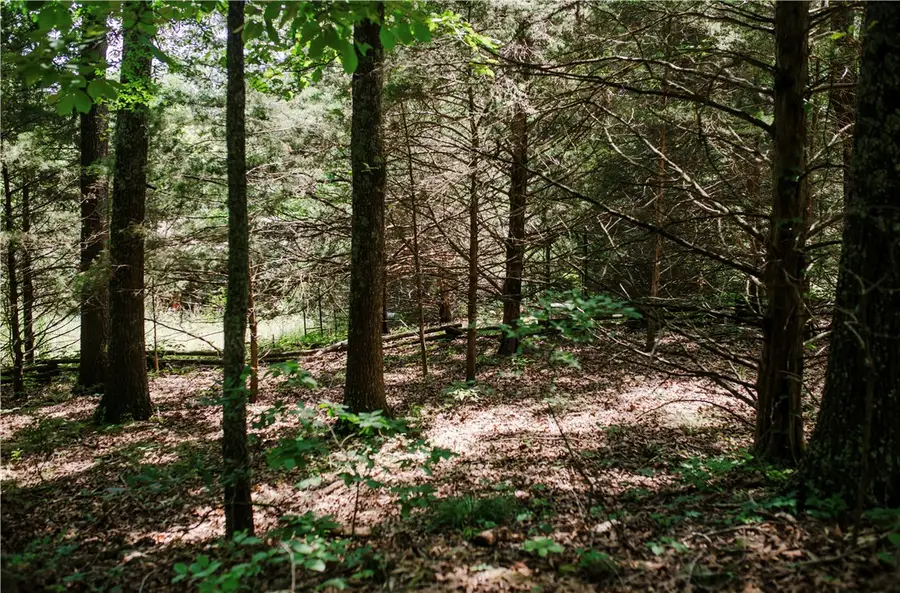 238 County Road 729, Berryville, AR 72616 - #3