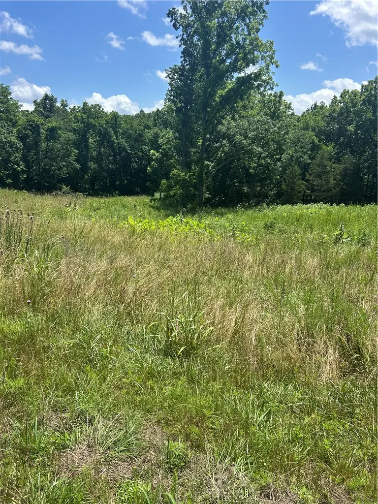 14 Gordon Hollow Drive, Bella Vista, AR 72715 - #2