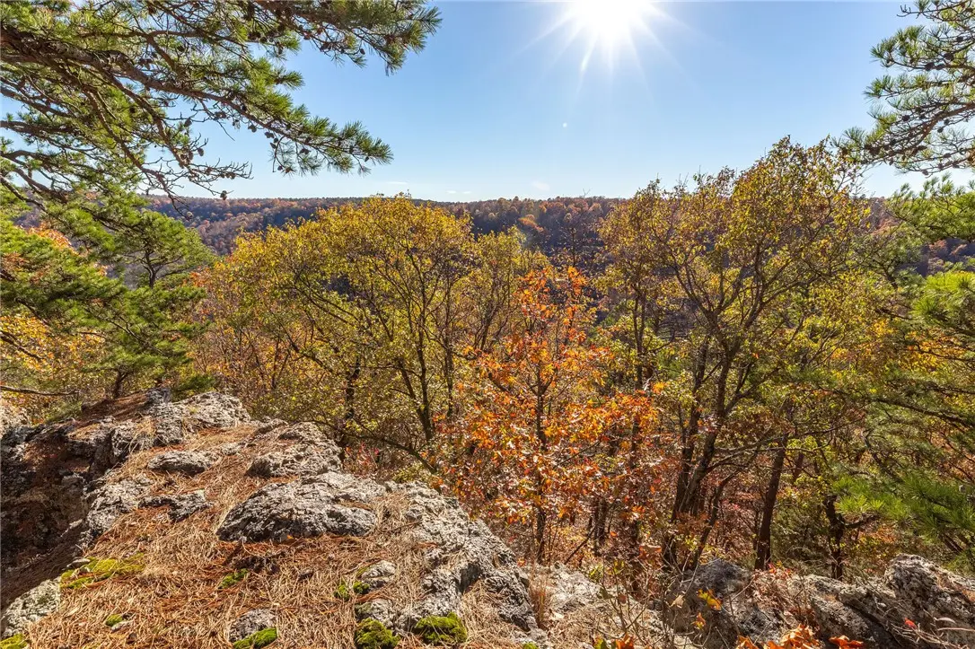 Cr 507, Berryville, AR 72616 - #1