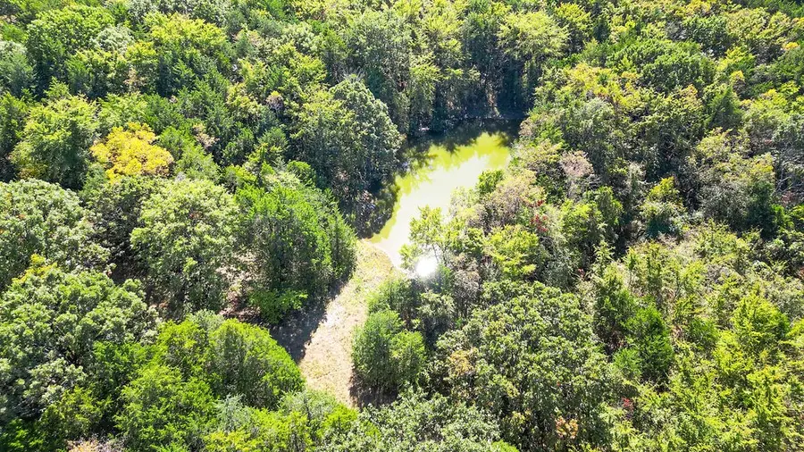 Pine Tree, Prairie Grove Township, AR 72758 - #3