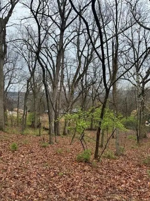 84 S Kestrel Drive, Fayetteville, AR 72703 - #3
