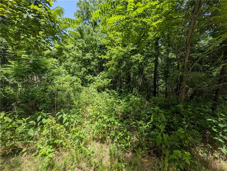 Wey Lane, Bella Vista, AR 72714 - #3