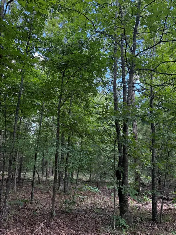 TBD Madison 6376, Elkins, AR 72727