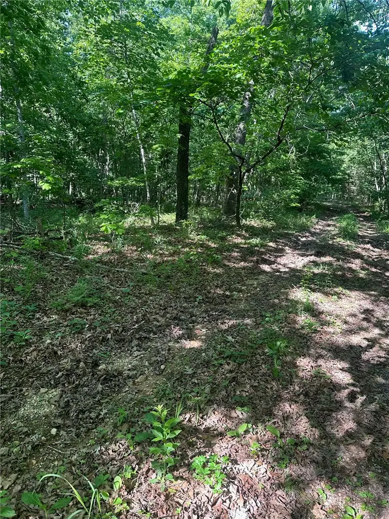 TBD Karen Lane, Bella Vista, AR 72715 - #1