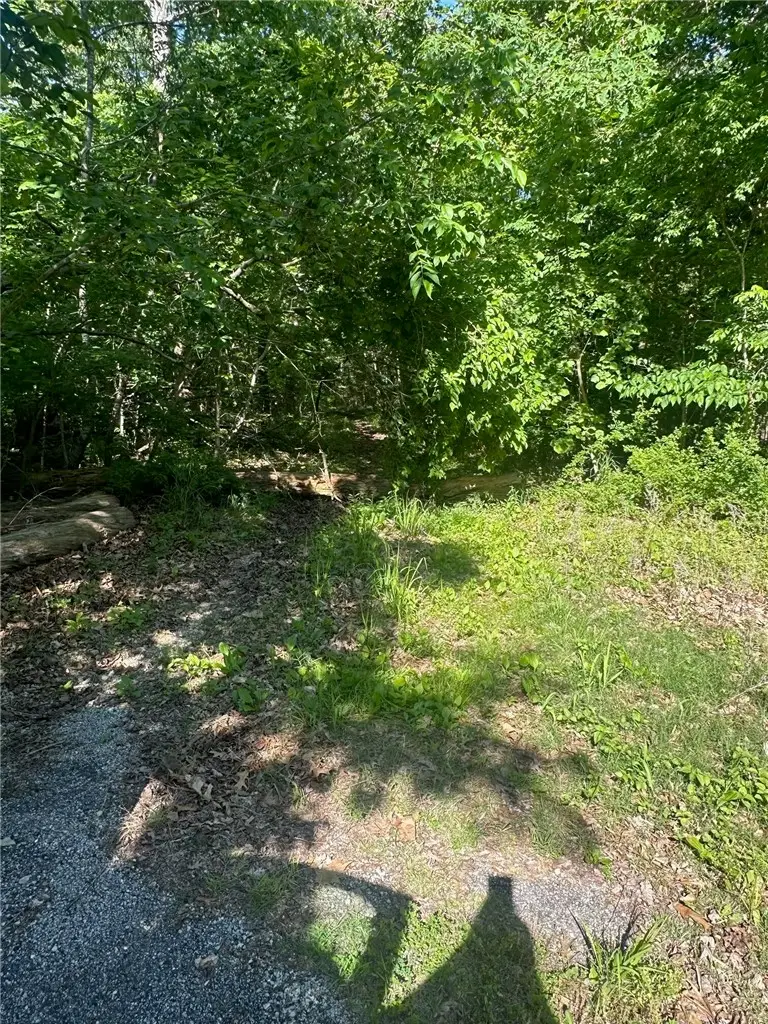 TBD Karen Lane, Bella Vista, AR 72715 - #3
