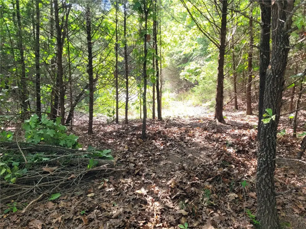 TBD Union Star Road, Winslow, AR 72959 - #1