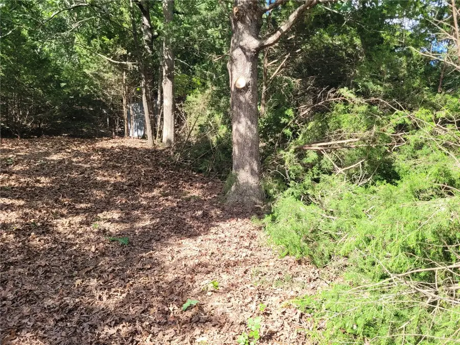 TBD Union Star Road, Winslow, AR 72959 - #3