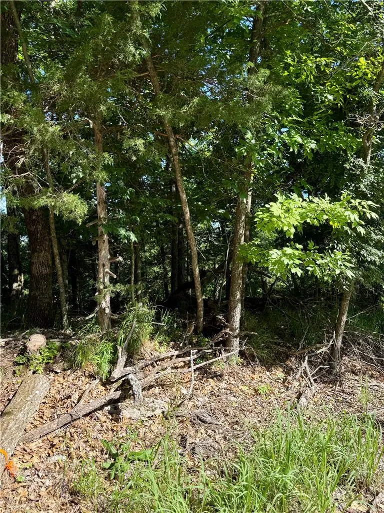 Lot 94 Oak Leaf Circle, Garfield, AR 72732 - #3