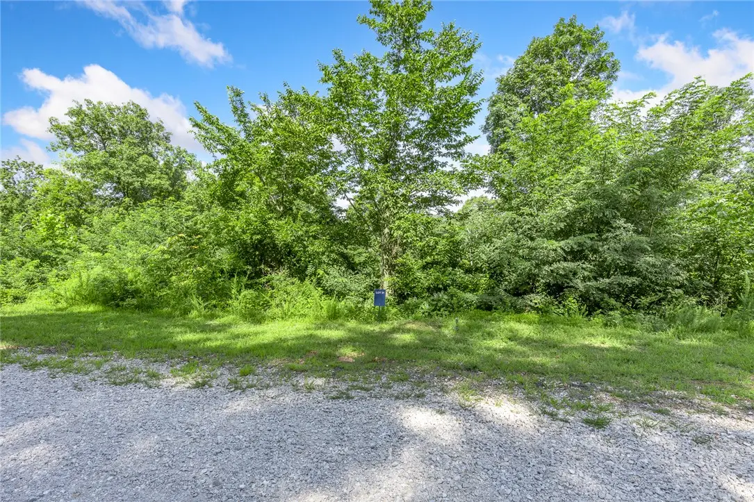 Lot 31 Peaceful Place, Harrison, AR 72601 - #1