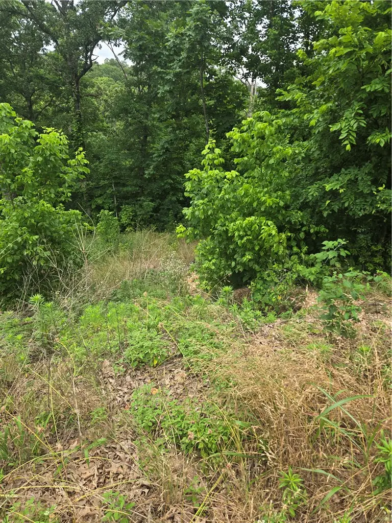 TBD Enfield Drive, Bella Vista, AR 72715 - #1