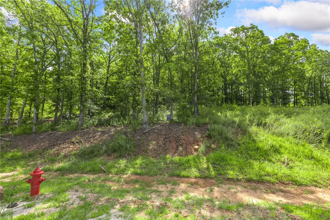 Lot 64 Restore Ridge, Harrison, AR 72601 - #1