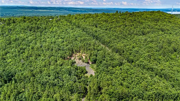 TBD Nichols Lane, Delaware, AR 72835