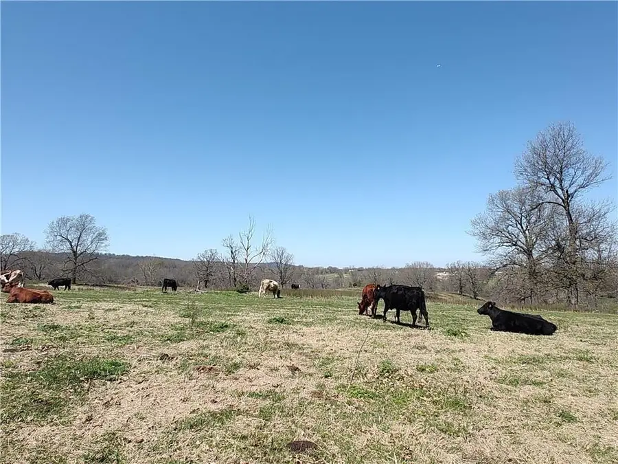 94.77 acres Hewitt Springs, Springdale, AR 72764 - #3