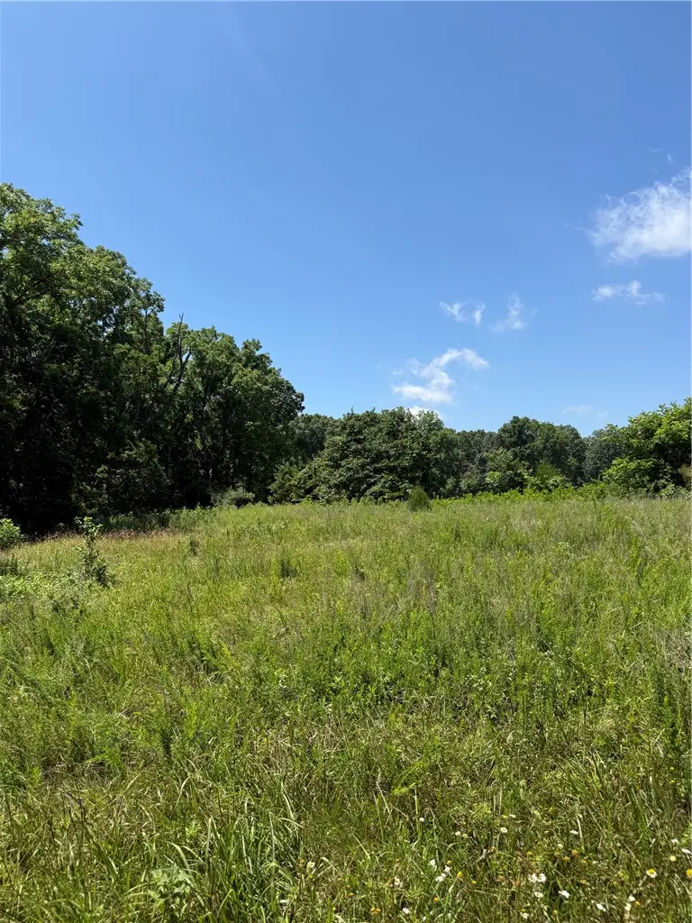 Old Wire Rd North Road, Garfield, AR 72732 - #1