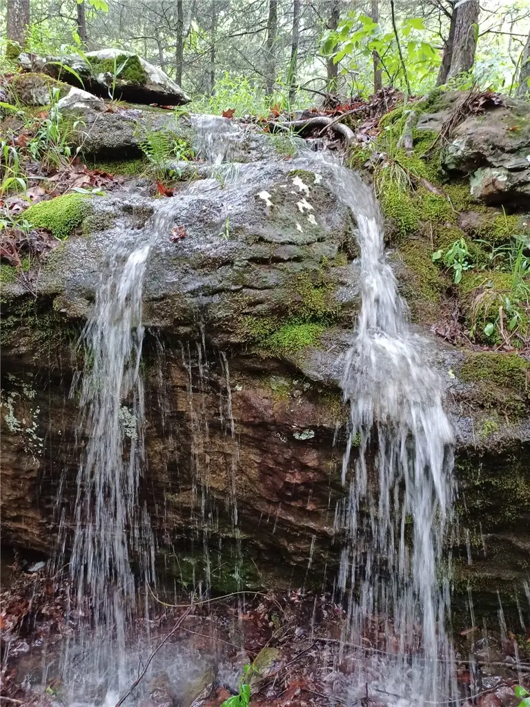 1212 Madison 2755, Kingston, AR 72742 - #2