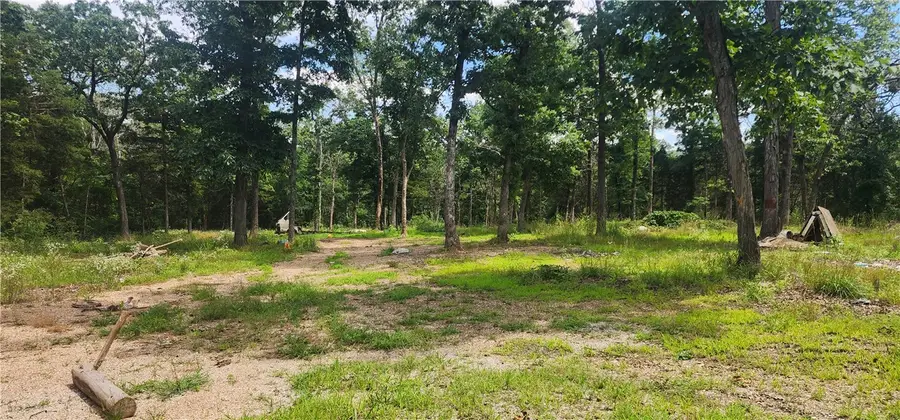 18632 Farm Road 2300, Eagle Rock, MO 65641 - #2