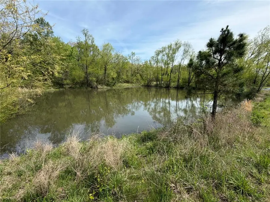10961 Highway 60, Plainview, AR 72857 - #2