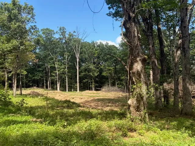 TBD Freedom Road, Winslow, AR 72959 - #1