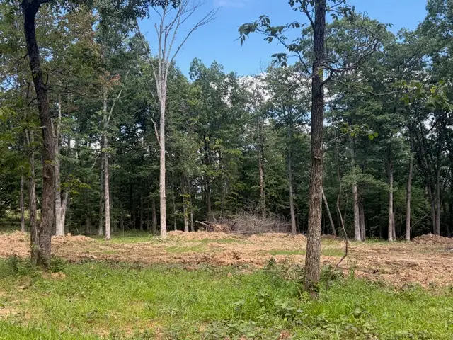 TBD Freedom Road, Winslow, AR 72959 - #3