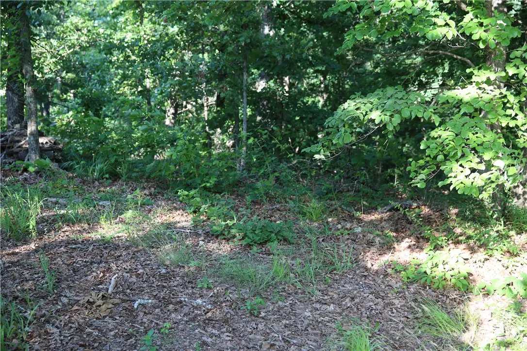 Lot 21 Kirkcudbright Lane, Bella Vista, AR 72715 - #1