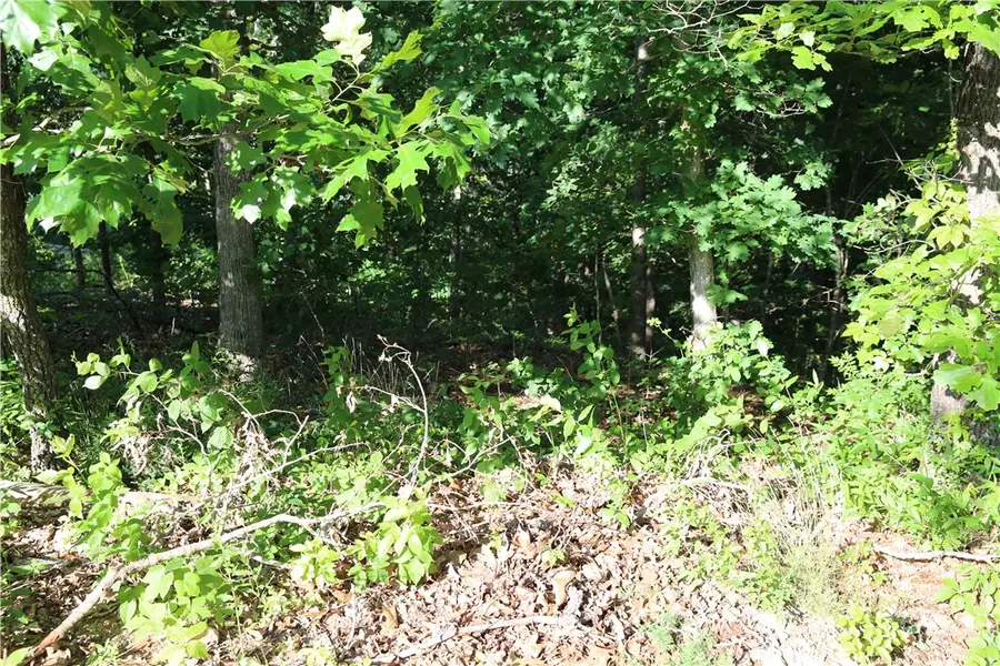 Lot 21 Kirkcudbright Lane, Bella Vista, AR 72715 - #2