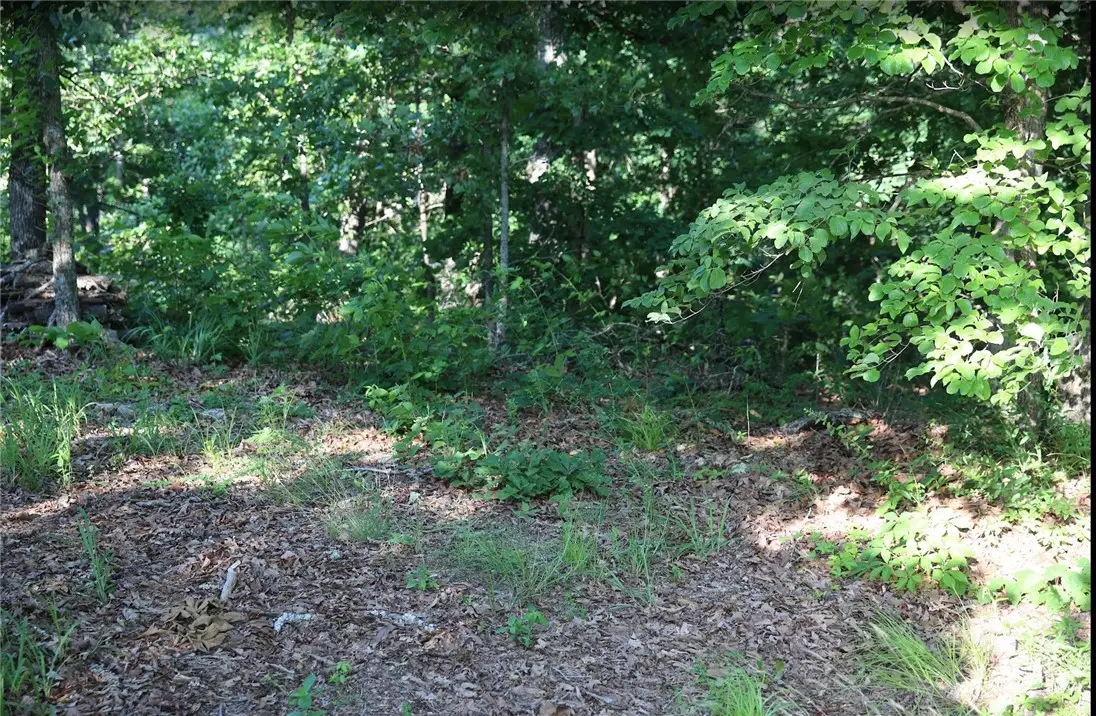 Lot 12 Thaxted Drive, Bella Vista, AR 72715 - #1