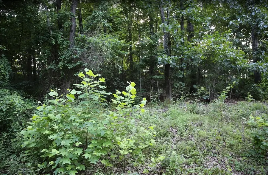 Lot 12 Thaxted Drive, Bella Vista, AR 72715 - #3