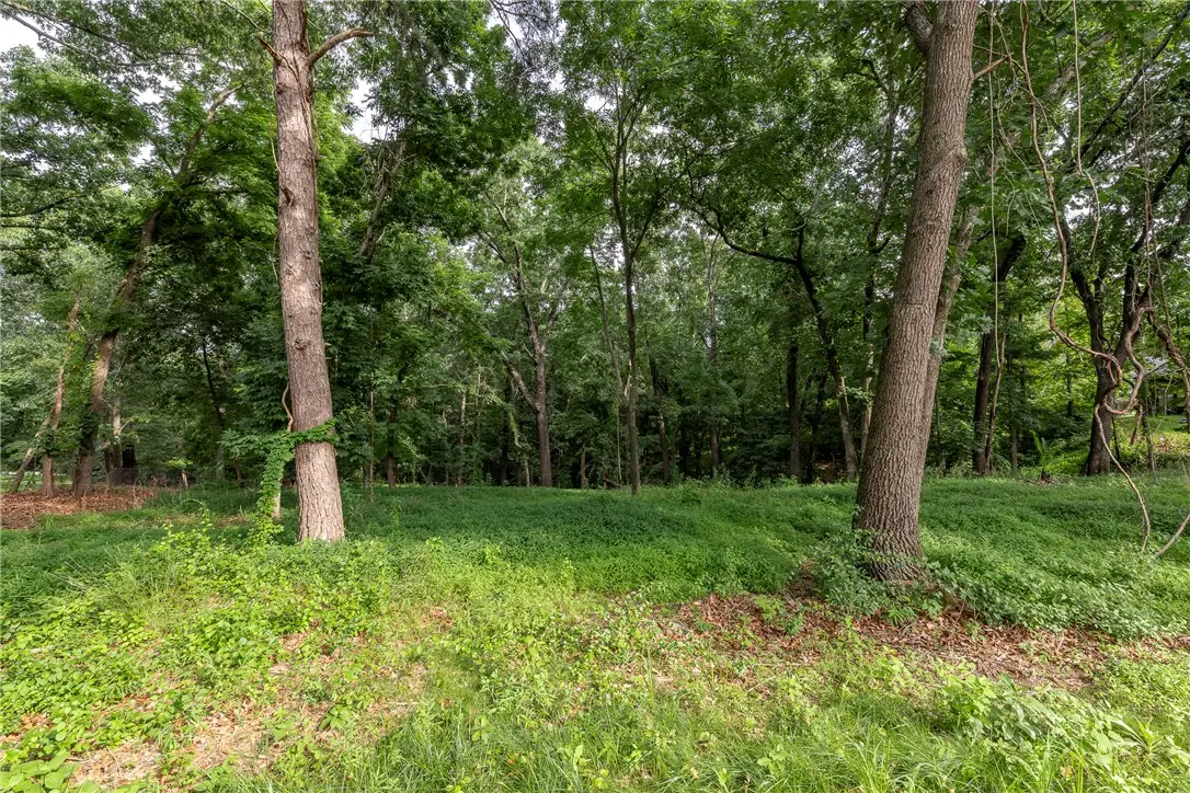 Lot 111 E Woodside Lane, Rogers, AR 72756 - #1