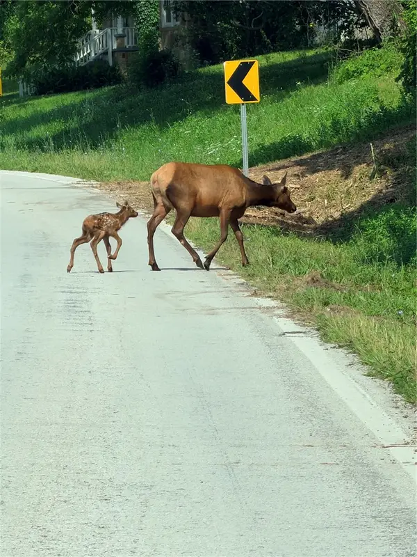 19874 Ar 21 Highway, Ponca, AR 72670