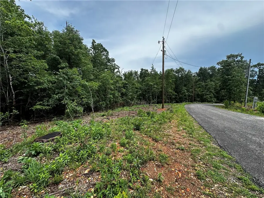 Lot 10 Blk 4 Lasswade Circle, Bella Vista, AR 72712 - #2