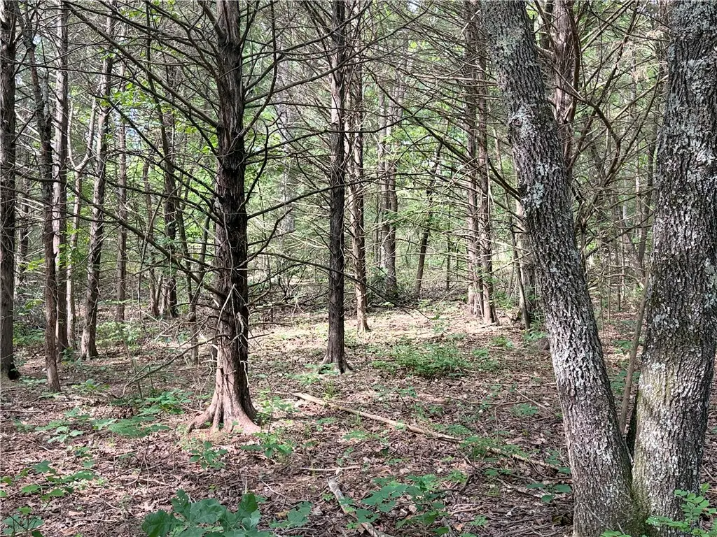 Lot 10 Seaton Drive, Bella Vista, AR 72714 - #1