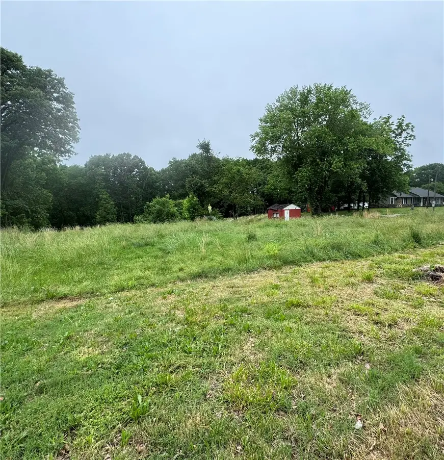 781 Hallack Lane, Pea Ridge, AR 72751 - #1