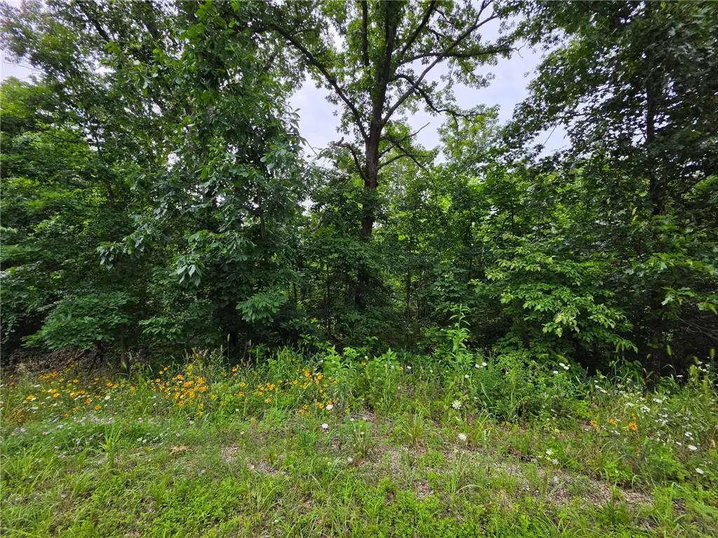 0 Rountree Drive, Bella Vista, AR 72715 - #1