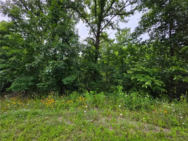 0 Rountree Drive, Bella Vista, AR 72715