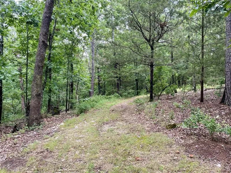 TBD Passion Play Road, Eureka Springs, AR 72632 - #3