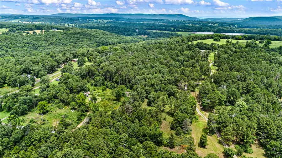 Duvall Road, Atkins, AR 72823 - #3