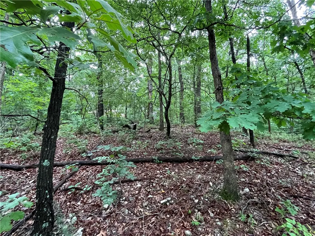 Lot 3, Block 6 Dunstable Drive, Bella Vista, AR 72714 - #1